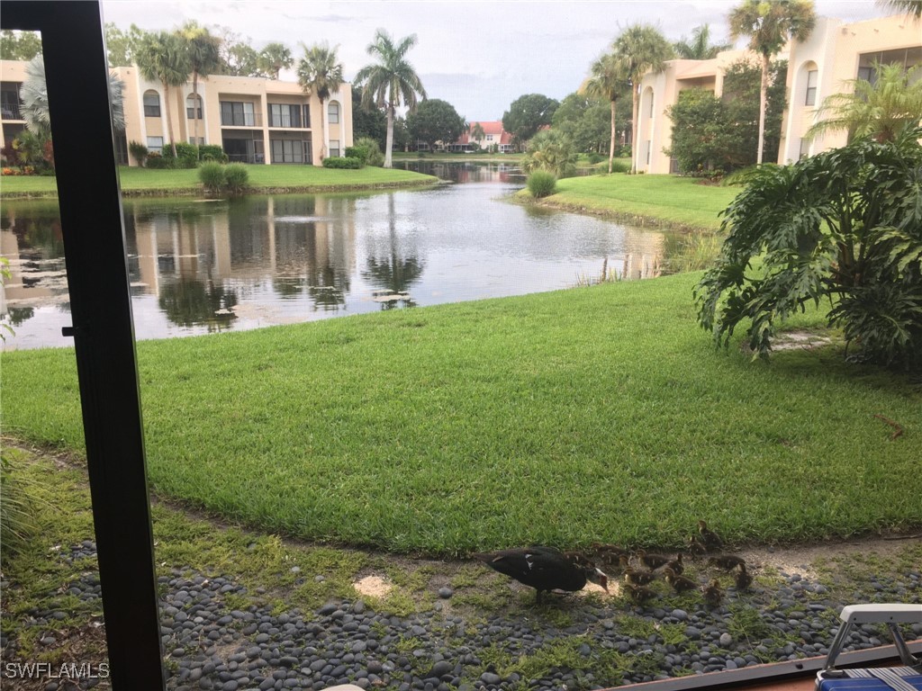 3324 Olympic Drive #313 Naples FL 34105 224101780 image18