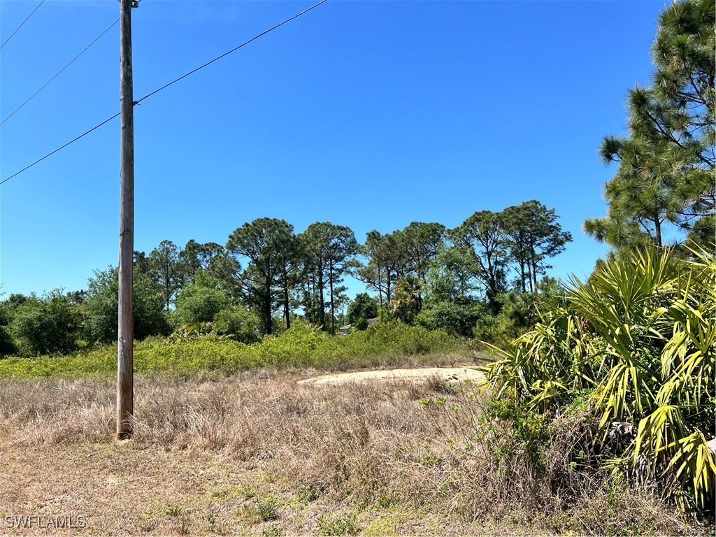 338 Genoa Avenue S Lehigh Acres FL 33974 225031771 image2