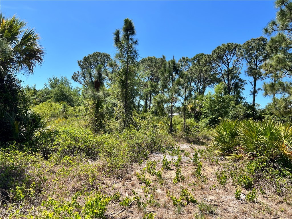 338 Genoa Avenue S Lehigh Acres FL 33974 225031771 image3