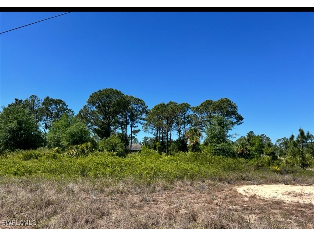 338 Genoa Avenue S Lehigh Acres FL 33974 225031771 image4