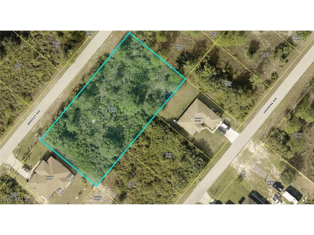 339 Bradley Avenue Lehigh Acres FL 33974 225040566 image2