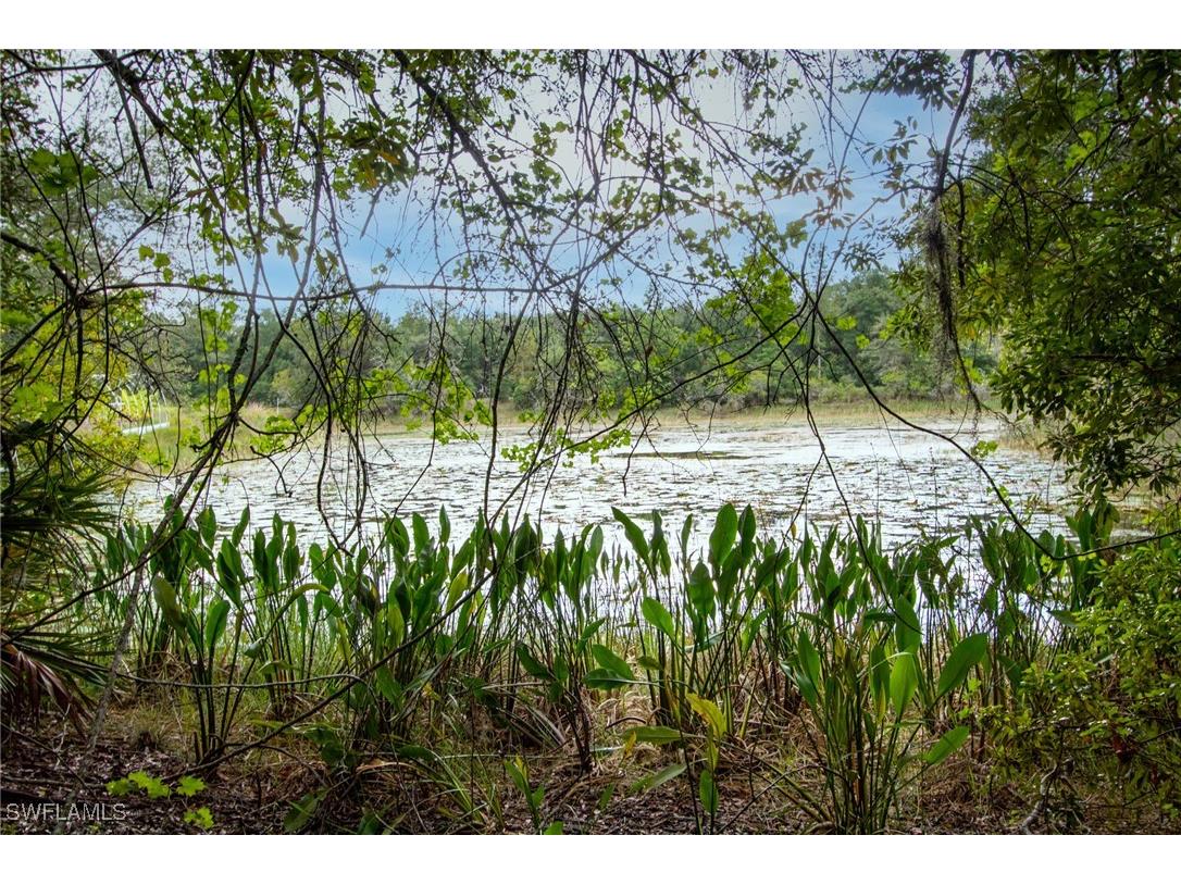 34122 August Avenue Webster FL 33597 225053903 image5