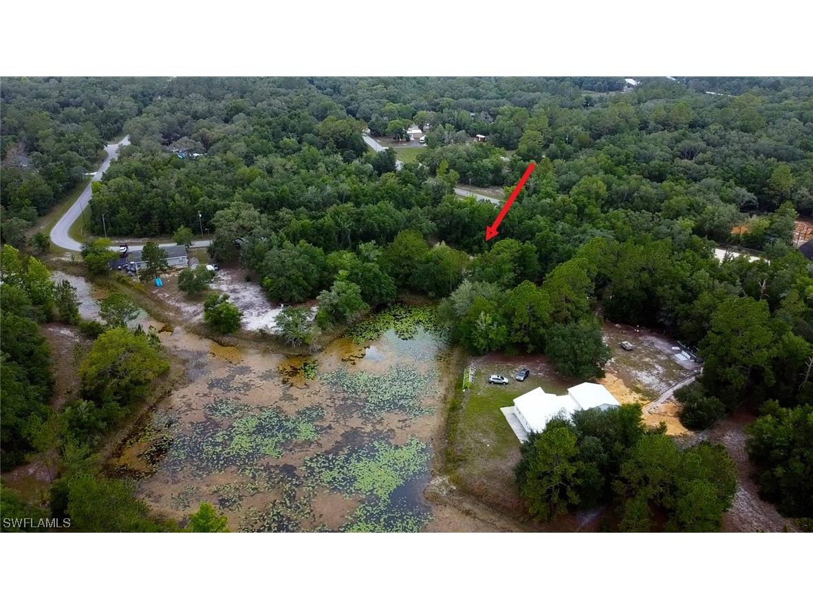 34132 August Avenue Webster FL 33597 223041873 image12