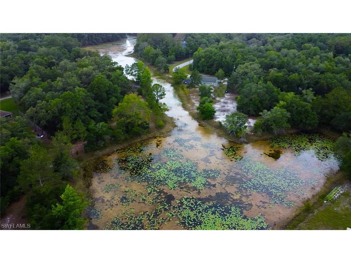 34132 August Avenue Webster FL 33597 223041873 image13