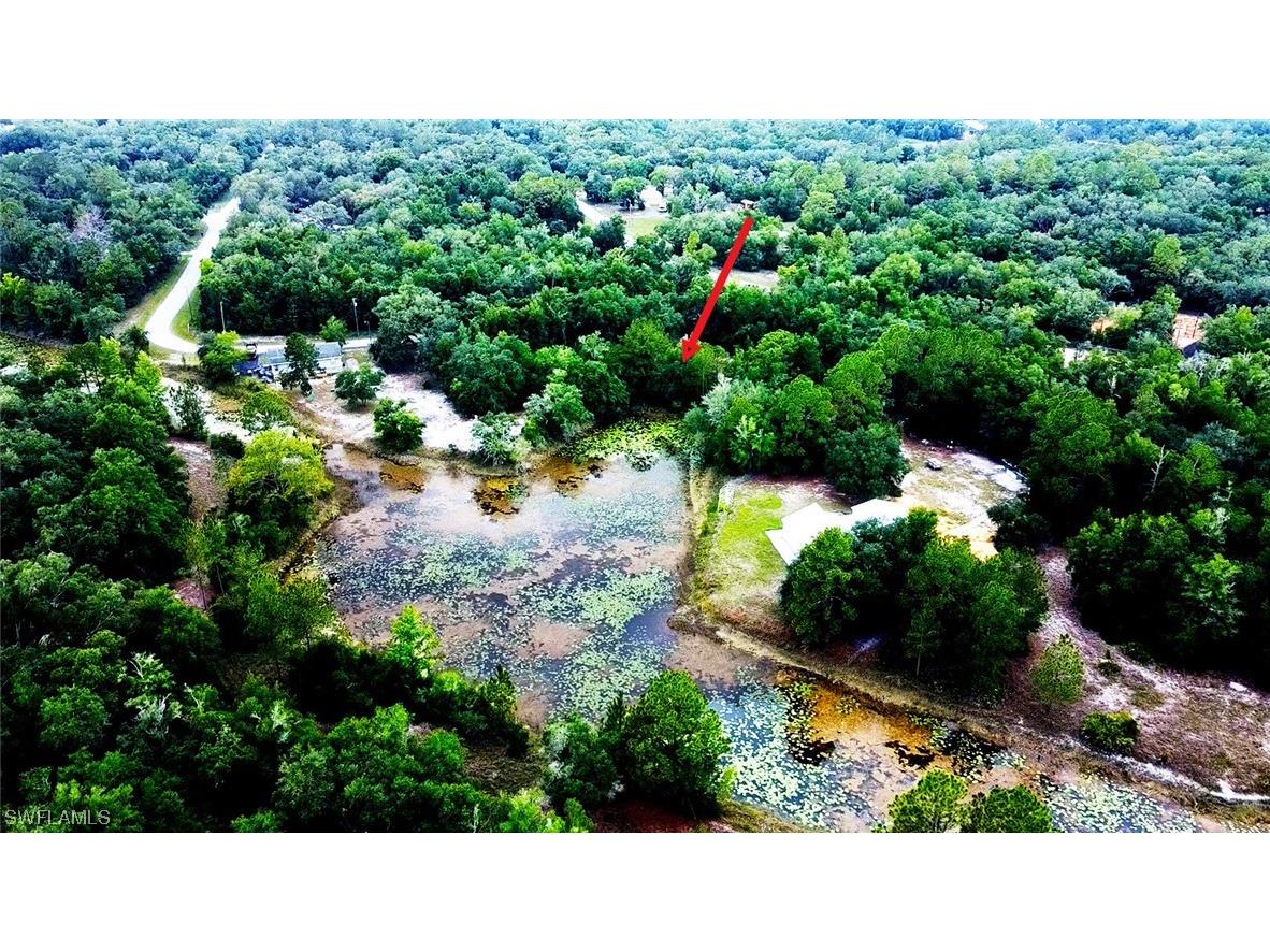 34132 August Avenue Webster FL 33597 223041873 image2