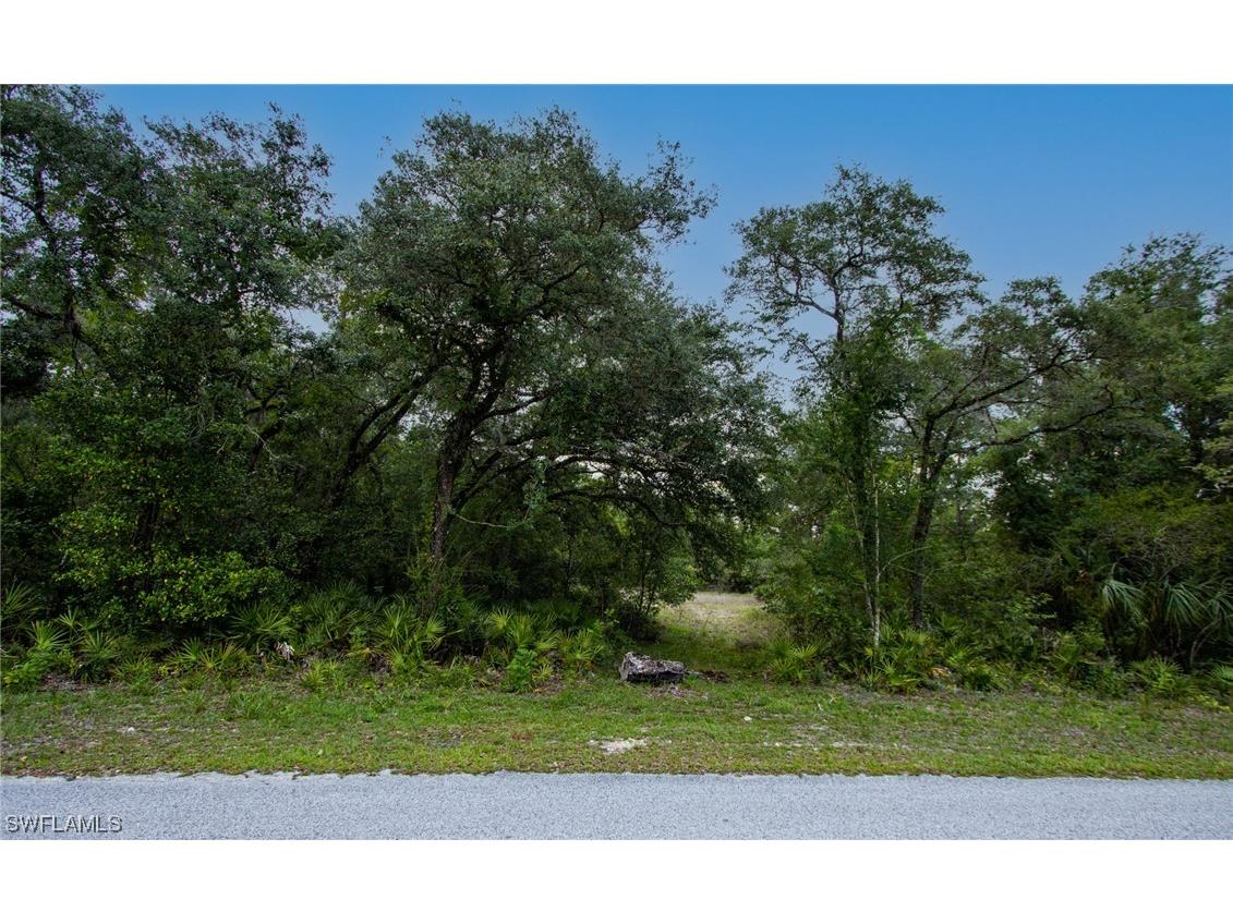 34132 August Avenue Webster FL 33597 223041873 image4