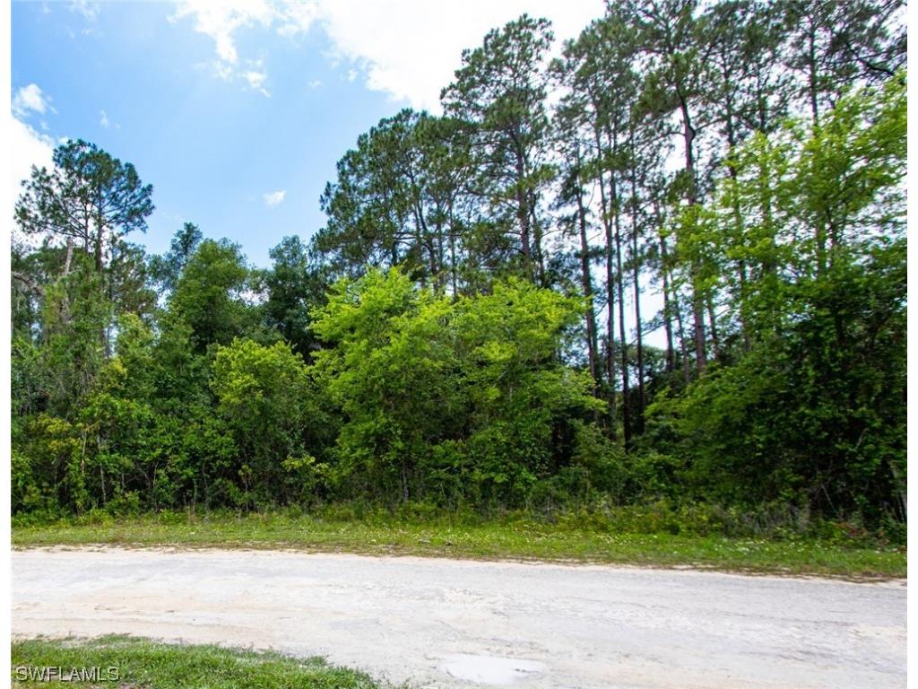 34160 Haas Drive Webster FL 33597 223041877 image1