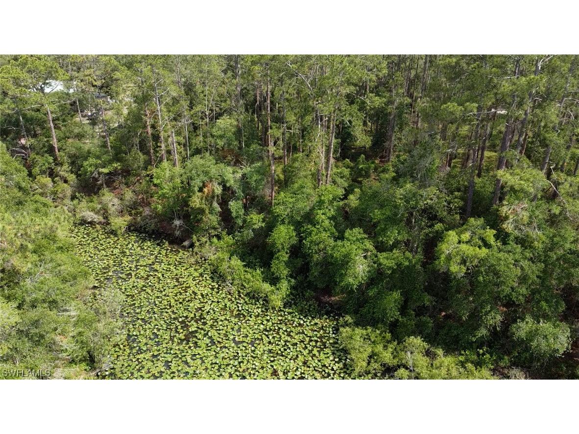 34160 Haas Drive Webster FL 33597 223041877 image4