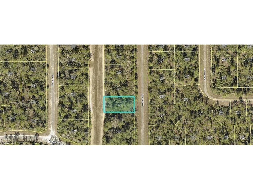 342 Tyrone Avenue Lehigh Acres FL 33972 225039477 image1