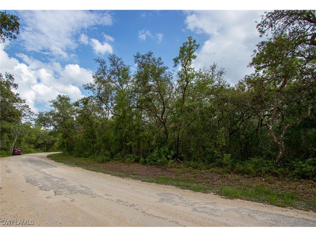 34287 Berryhill Drive, ster, FL, 33597 MLS 223045622 Edina Realty