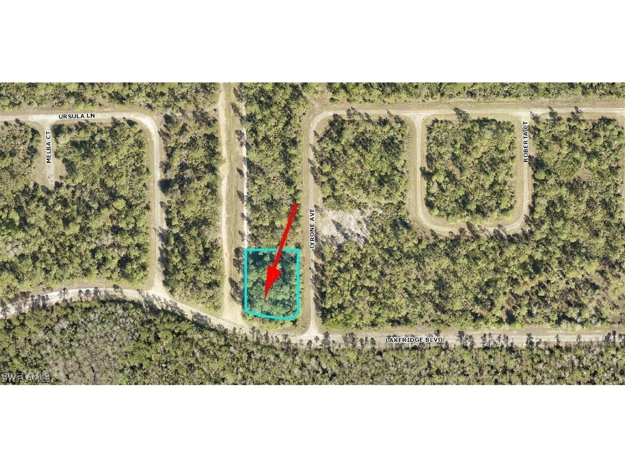 344 Tyrone Avenue Lehigh Acres FL 33972 225039450 image2