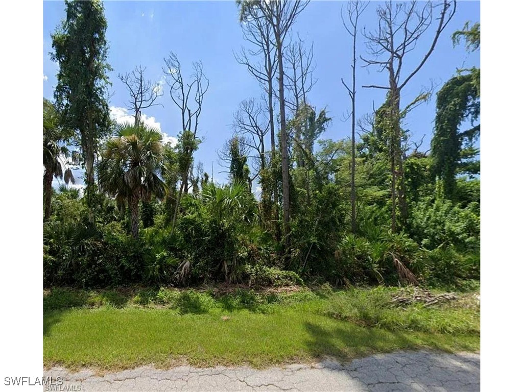 3471 Tropical Point Drive Other FL 33956 225032739 image1