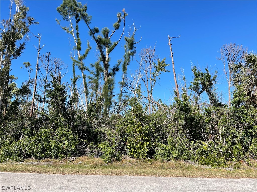 3486 Tangelo Drive Saint James City FL 33956 223013141 image1