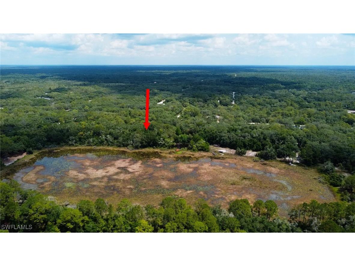 35028 Batesfield Street Webster FL 33597 225053910 image2