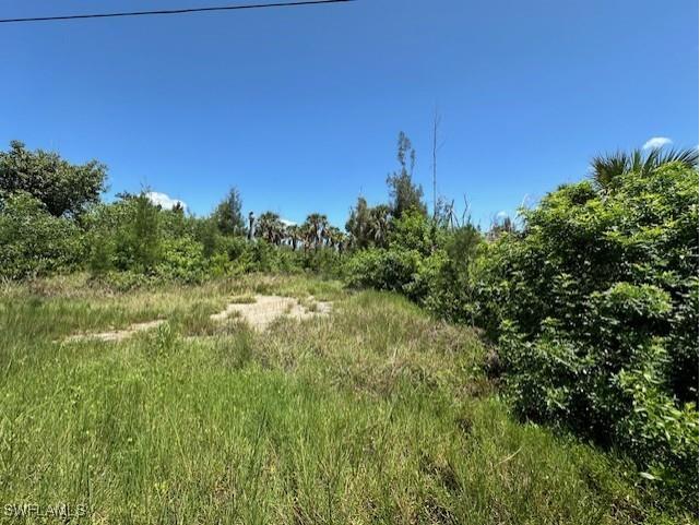 3518 Papaya Street Saint James City FL 33956 223075498 image2