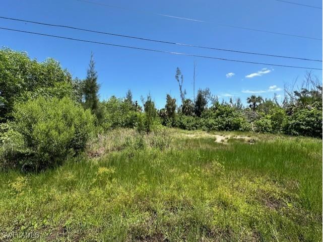 3518 Papaya Street Saint James City FL 33956 223075498 image3