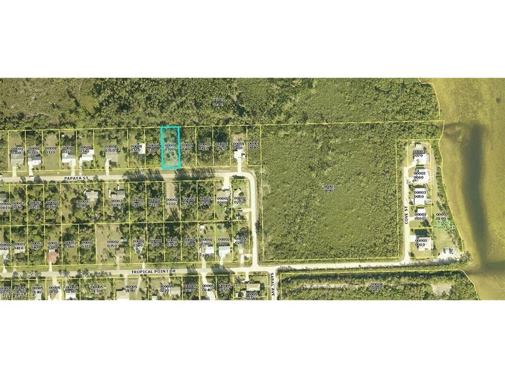 3518 Papaya Street Saint James City FL 33956 223075498 image5