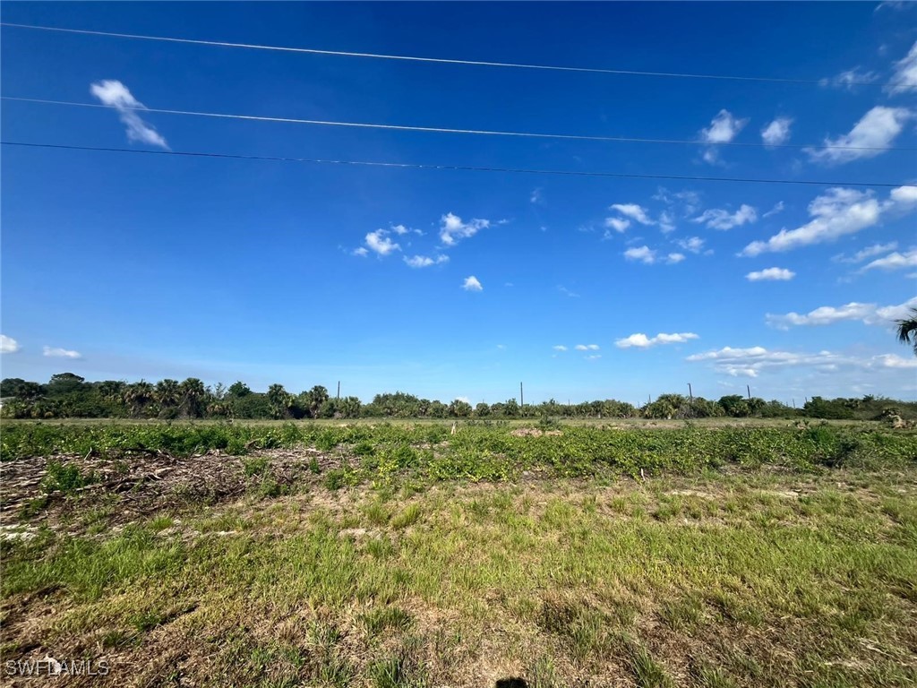 352 Phoenix Terrace Labelle FL 33935 225049176 image2