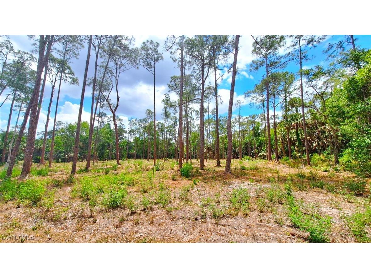 3690 27th Avenue SW Naples FL 34117 225042759 image5