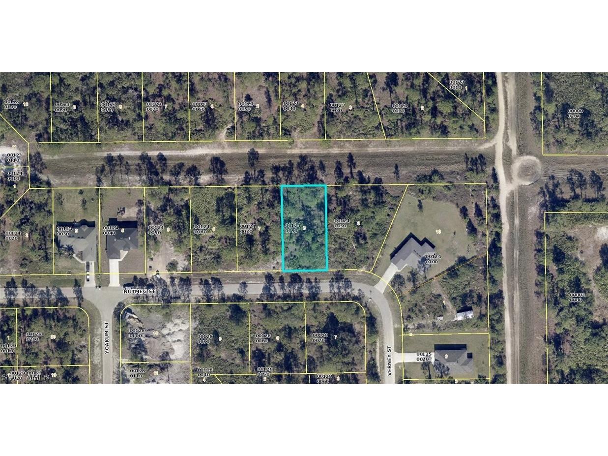 370 Nutmeg Street Lehigh Acres FL 33972 223047025 image1