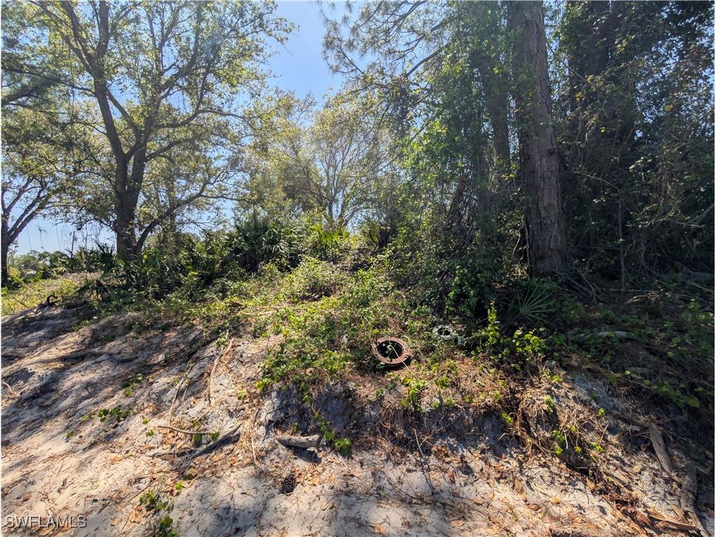 3700 Elaine Avenue N Lehigh Acres FL 33971 225027102 image8