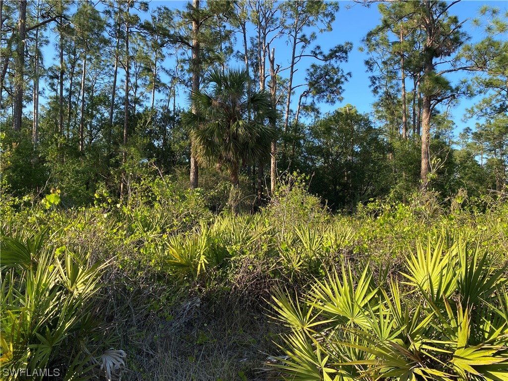 3703 E 10th Street Lehigh Acres FL 33972 222030909 image1