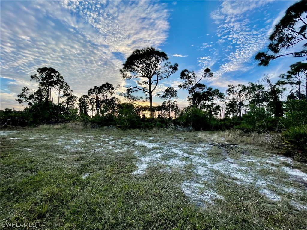 3718 NW 32nd Place Cape Coral FL 33993 224008531 image4