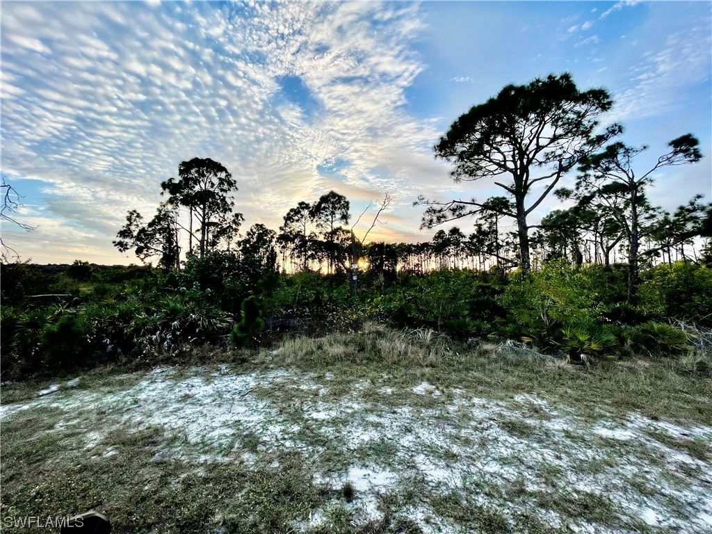 3718 NW 32nd Place Cape Coral FL 33993 224008531 image5