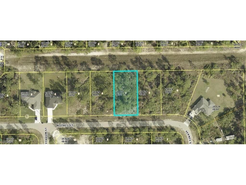 372 Nutmeg Street Lehigh Acres FL 33972 225033484 image2