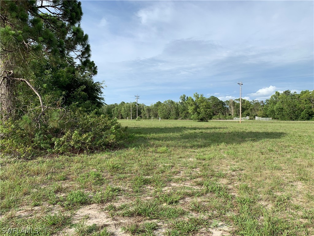 3728 Burnt Store Road N Cape Coral FL 33993 217068423 image2