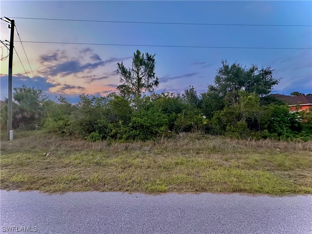 376 Wilkins Street Lehigh Acres FL 33972 223036202 image1