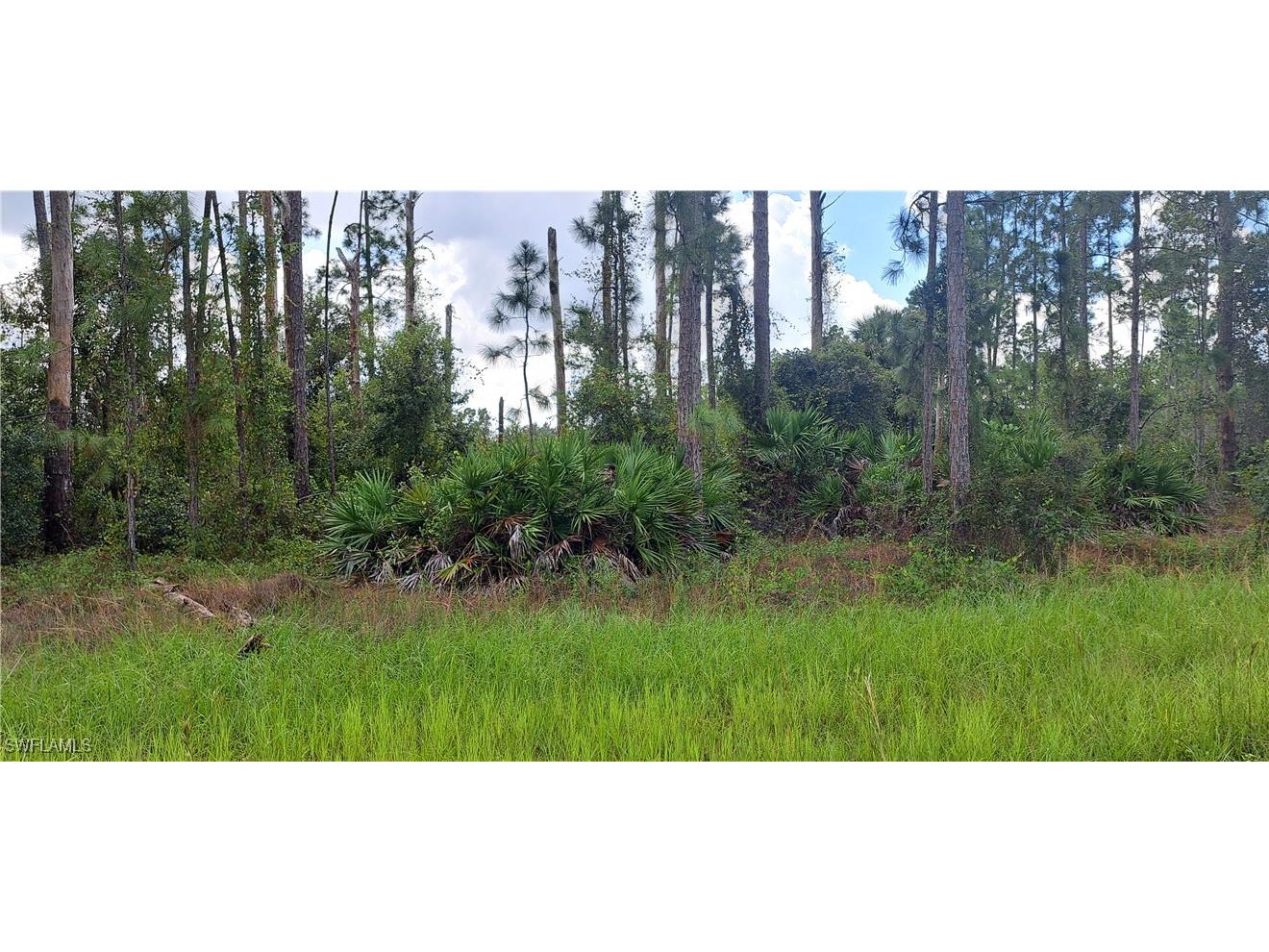 3800 13th Street E Lehigh Acres FL 33972 224077987 image4