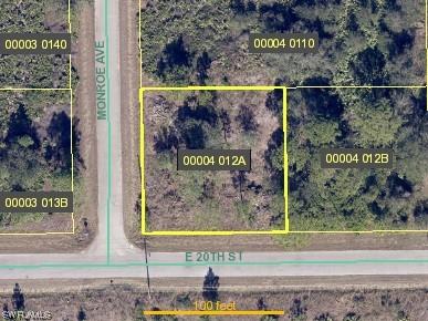 3801 E 20th Street Alva FL 33920 223052156 image1