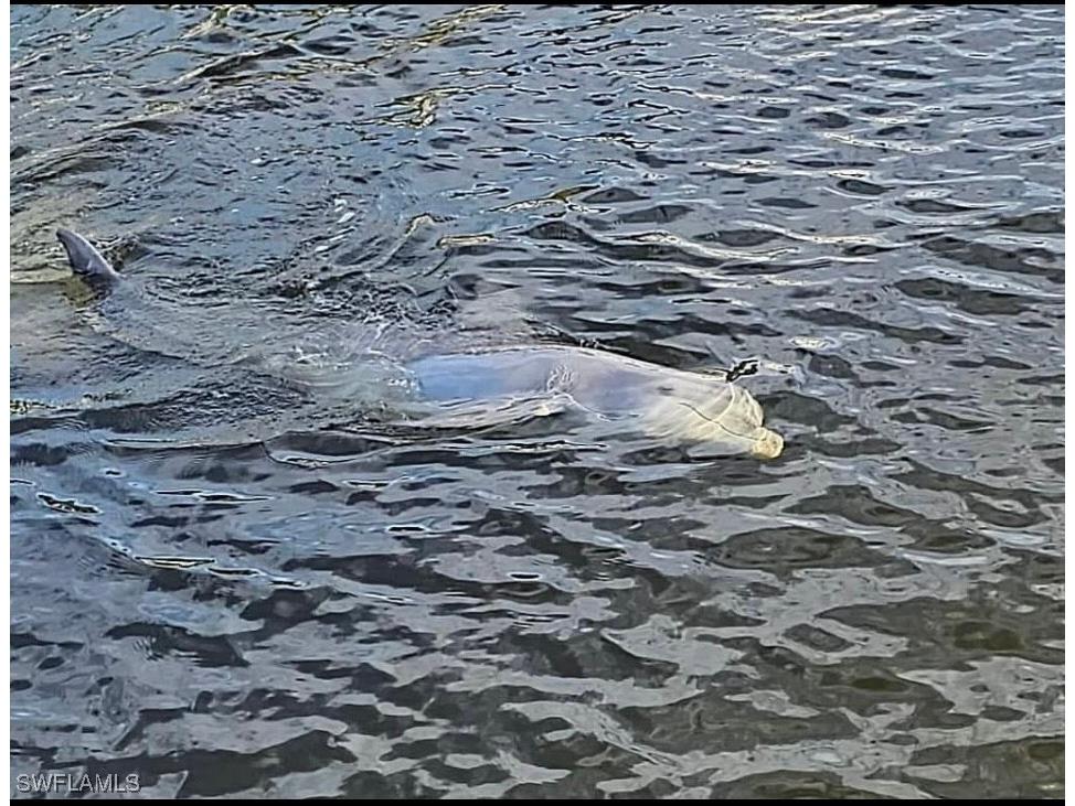 3812 Blueberry Lane Saint James City FL 33956 225026922 image5