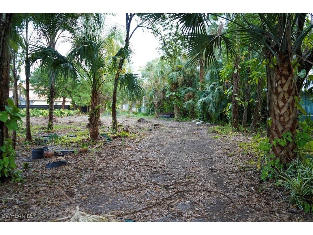 385 Caloosa Drive Labelle FL 33935 224047913 image3