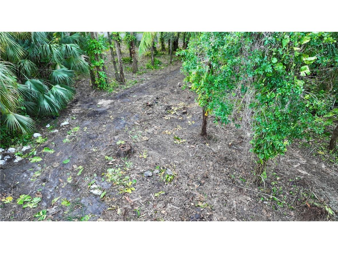 385 Caloosa Drive Labelle FL 33935 224047913 image6