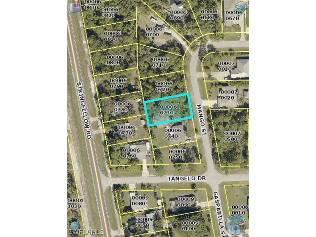 3894 Mango Street Other FL 33956 222033436 image1