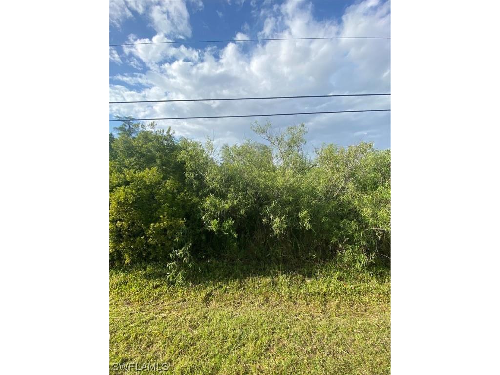 3894 Mango Street Other FL 33956 222033436 image2