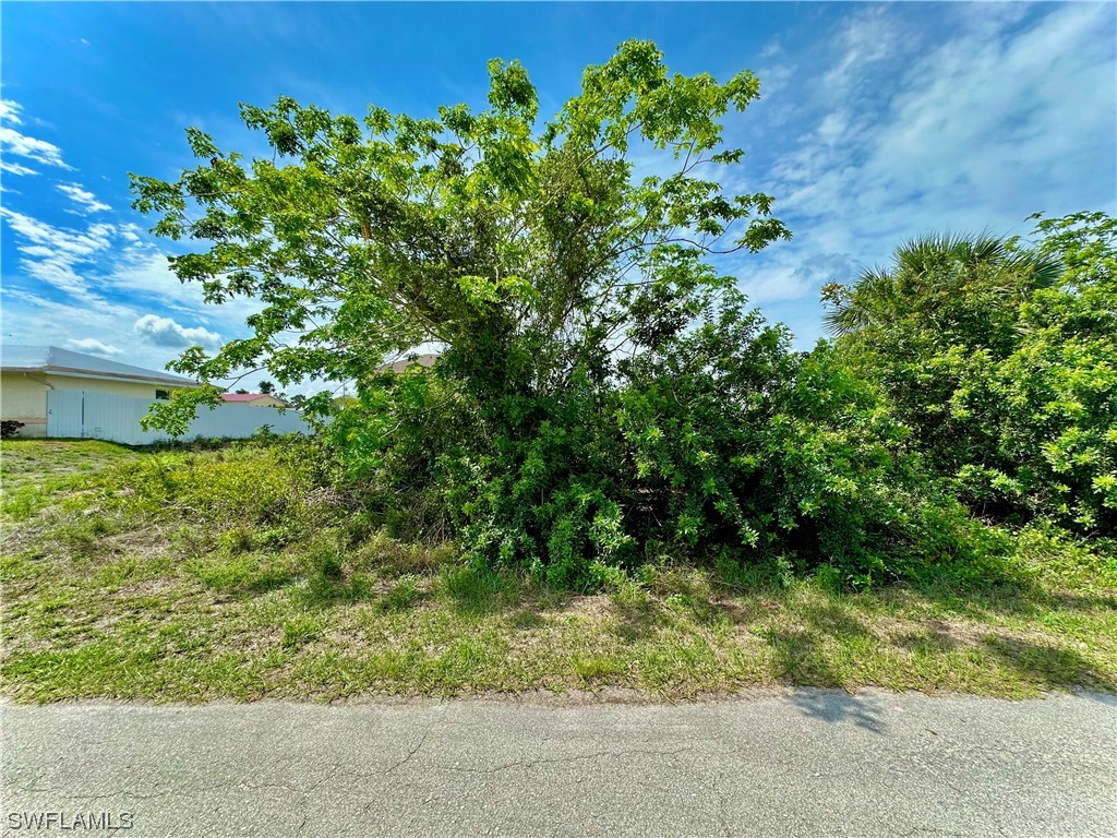 3915 20th Street SW Lehigh Acres FL 33976 223031258 image1