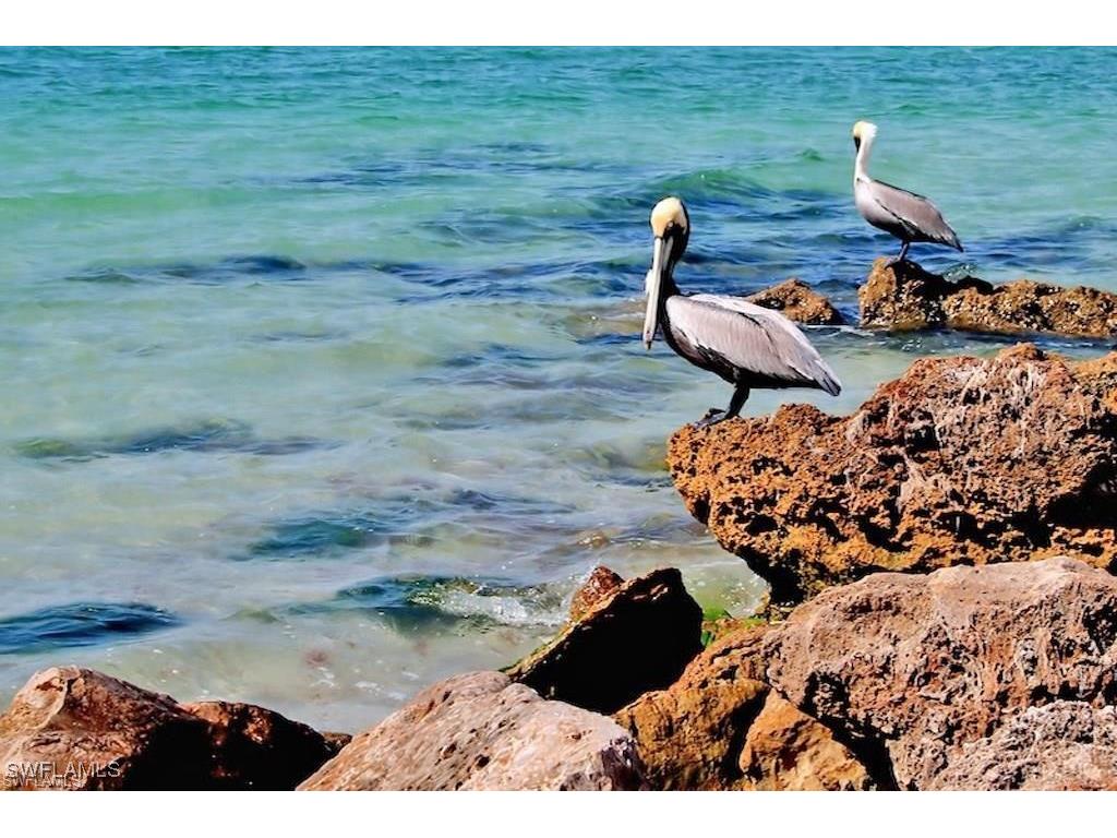 4007 Recreation Lane Naples FL 34116 225054483 image23