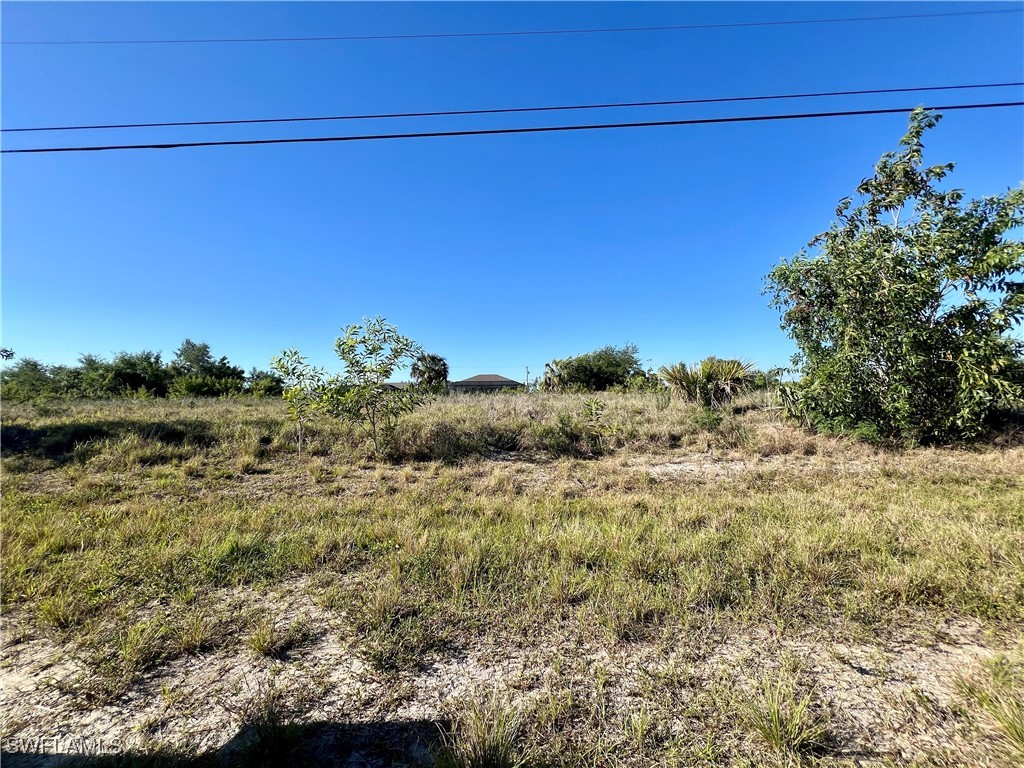 401 NW 5th Terrace Cape Coral FL 33993 225026252 image1