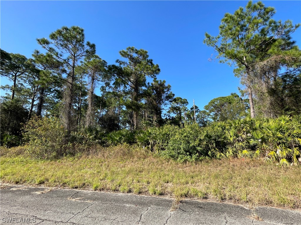 407 Battersea Circle, Labelle, FL, 33935 MLS 223093569 Edina Realty