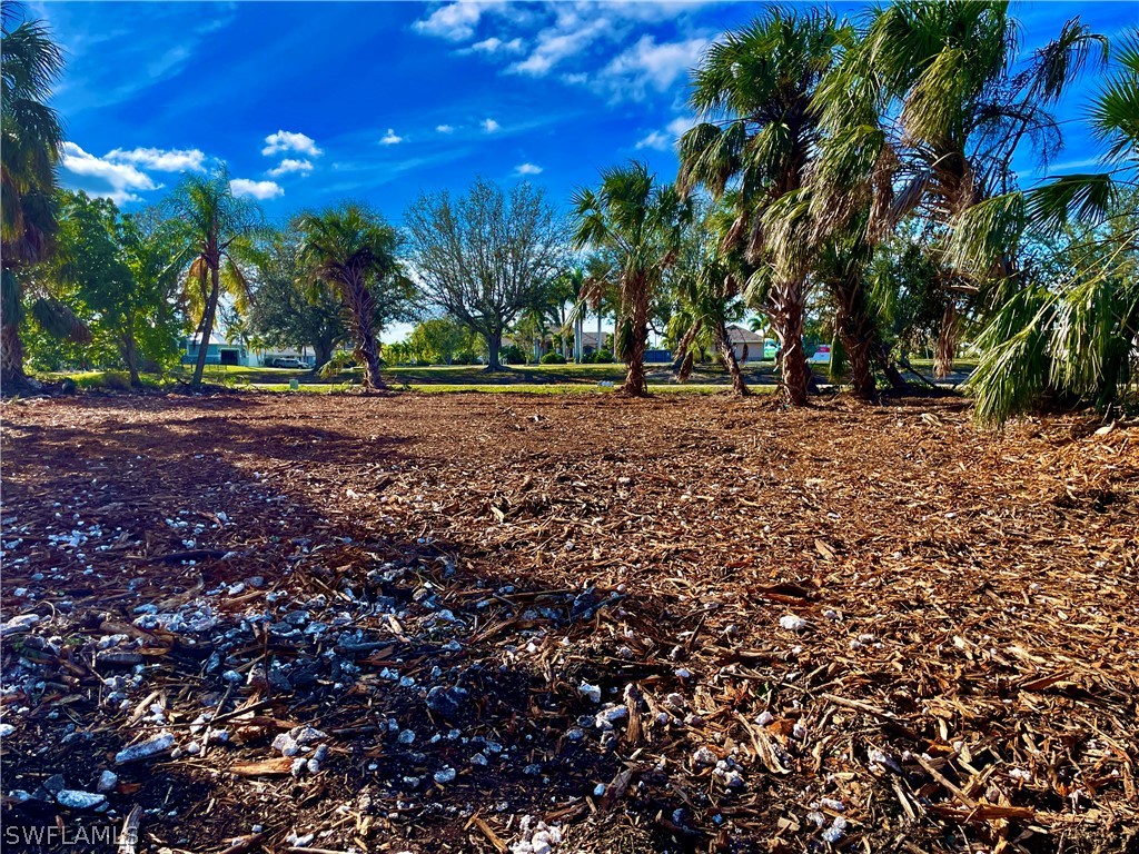 4114 Palm Drive Punta Gorda FL 33950 224014435 image9