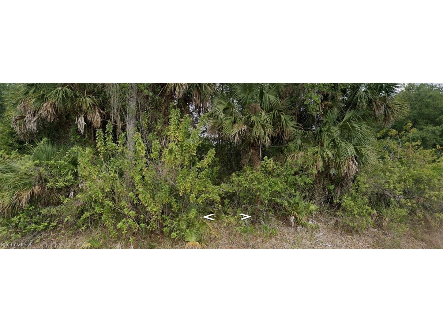 412 Broadway Avenue Lehigh Acres FL 33972 225018881 image3