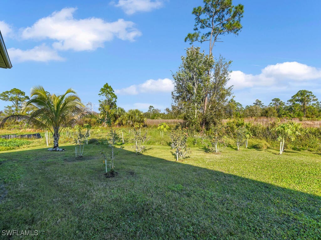 4160 River Grove Lane Fort Myers FL 33905 225007221 image10