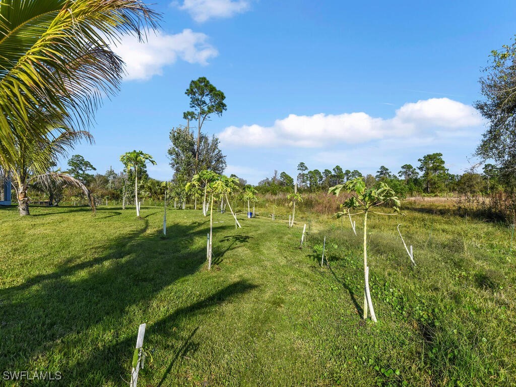 4160 River Grove Lane Fort Myers FL 33905 225007221 image8