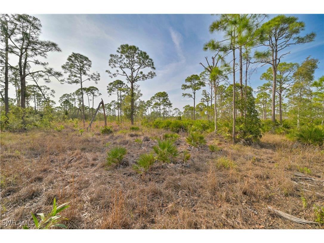  Cape Coral FL 33993 225004135 image13