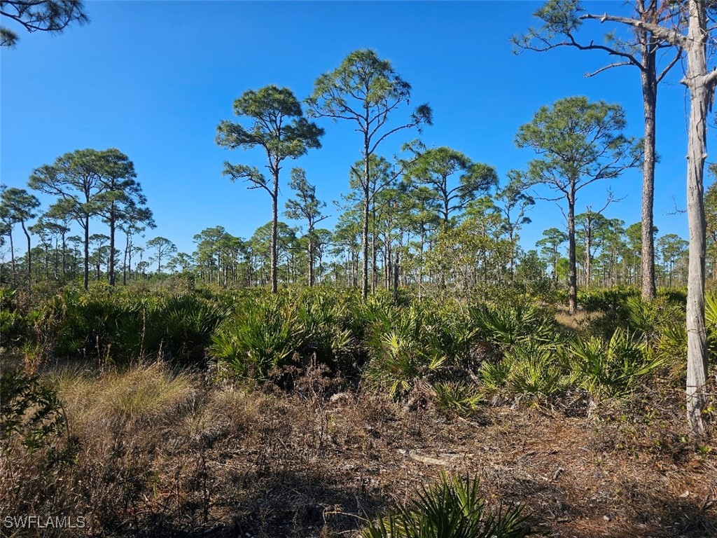  Cape Coral FL 33993 225004135 image15