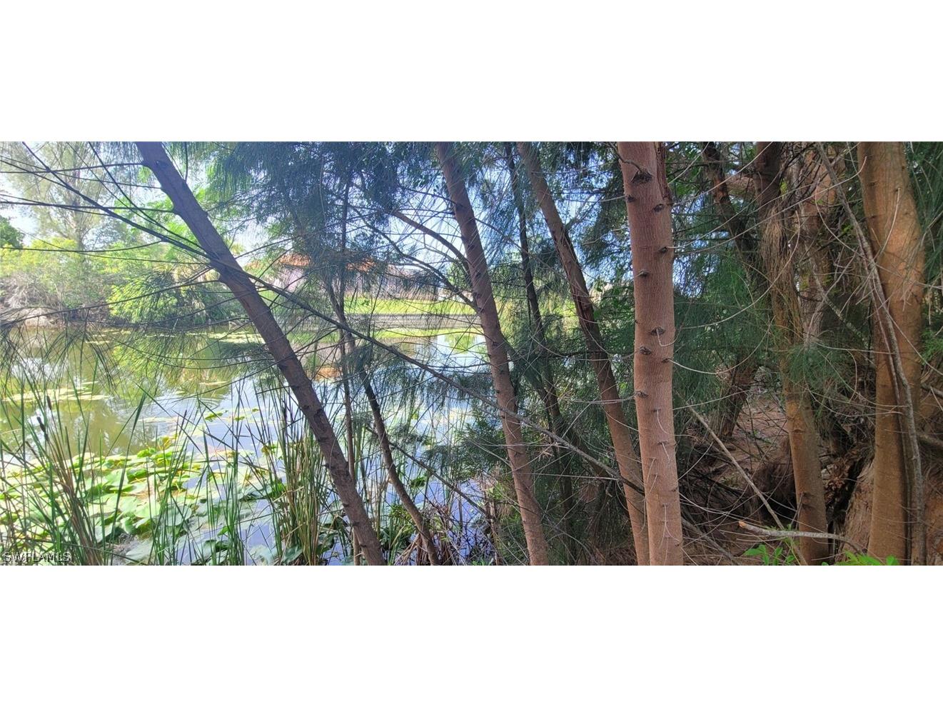 420 NE 20th Street Cape Coral FL 33909 222046132 image6