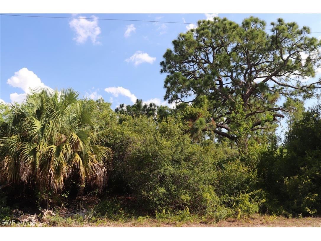 4244 E 24th Street Alva FL 33920 221040222 image7